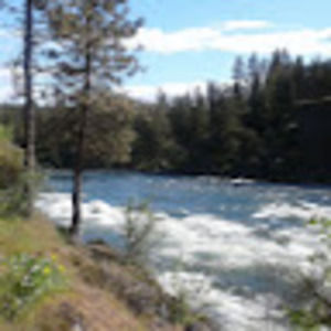 Meet your Posher, Therese